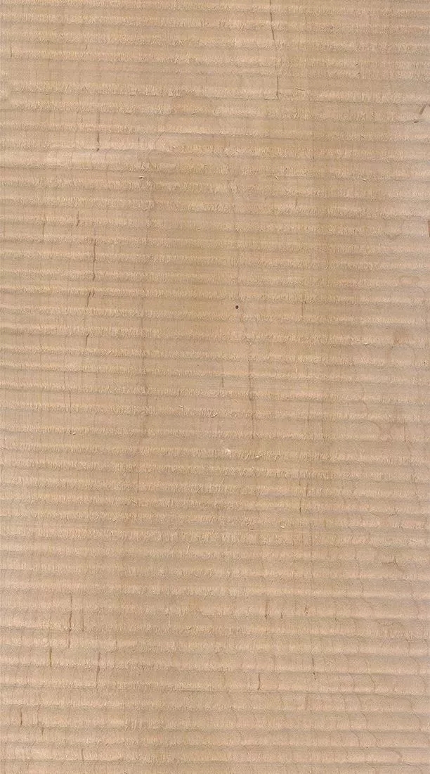 樺木的芯材顏色是淡紅棕色，邊材顏色近白色，板面寬且?guī)в暗哪酒な袌?chǎng)價(jià)格良好，紋理通常是直紋和波浪紋，質(zhì)地均勻，板面有很好的自然光澤度。.webp.jpg