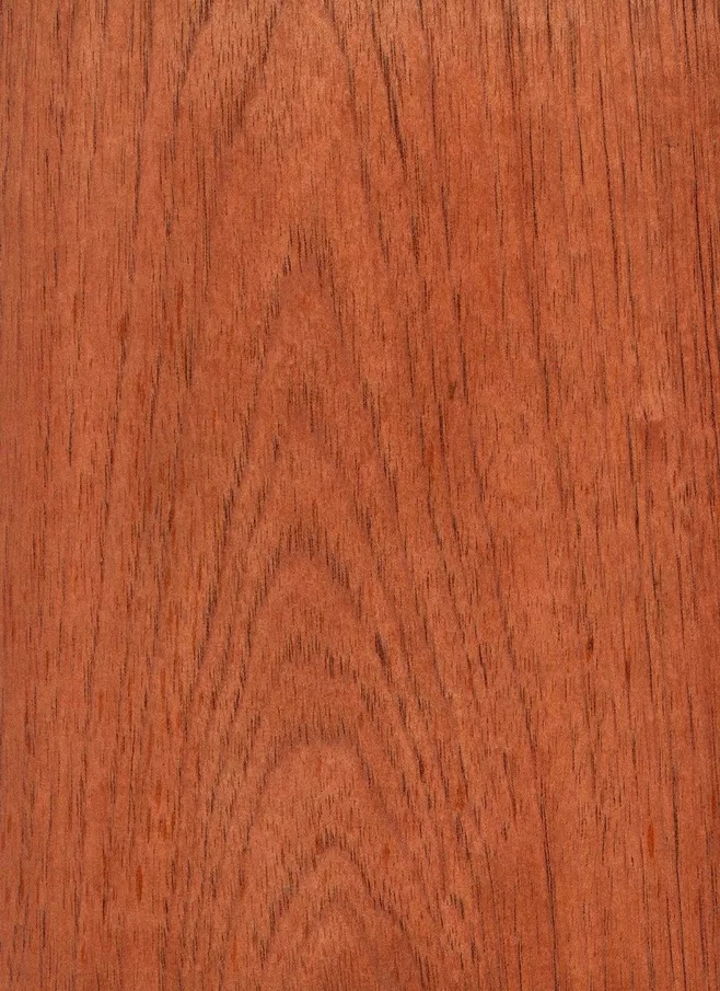 西班牙香杉的芯材為均勻的淺粉色到紅棕色，顏色一般會(huì)隨著樹(shù)木的增長(zhǎng)而加深，通常，木材都自帶樹(shù)脂和有油脂，木材板面看起來(lái)比較普通。紋理通常直，有局部交錯(cuò)，材質(zhì)均勻，天然光澤度一般。.webp.jpg